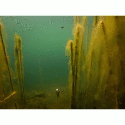 Fox Zig Float Kit -Aanbevolen Winkels Voor Visbenodigdheden fox zig float kit 3