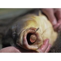 Pole Position Kicker -Aanbevolen Winkels Voor Visbenodigdheden pole position kicker 2