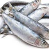 Dood Aas Sardine -Aanbevolen Winkels Voor Visbenodigdheden pre baits dood aas sardine