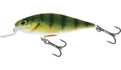 Salmo Executor 9cm Shallow Runner -Aanbevolen Winkels Voor Visbenodigdheden salmo executor 9cm shallow runner 3