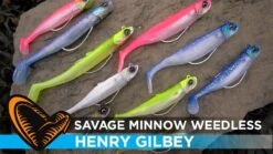 Savage Gear Minnow Sinking Tail 2+1 -Aanbevolen Winkels Voor Visbenodigdheden savage gear minnow sinking tail 21 2