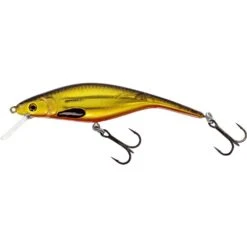 Westin P10 Sr Crankbait Floating -Aanbevolen Winkels Voor Visbenodigdheden westin p10 sr crankbait floating 3