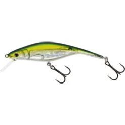 Westin P10 Sr Crankbait Floating -Aanbevolen Winkels Voor Visbenodigdheden westin p10 sr crankbait floating 5